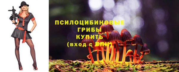а пвп мука Балахна